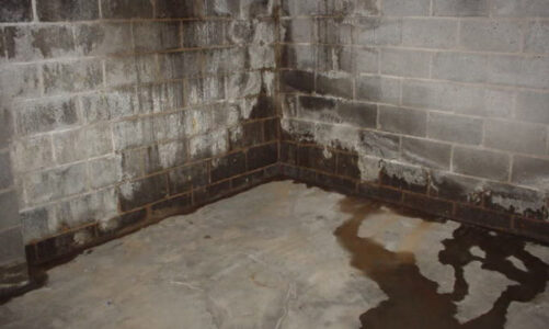 Why basement waterproofing is necessary?
